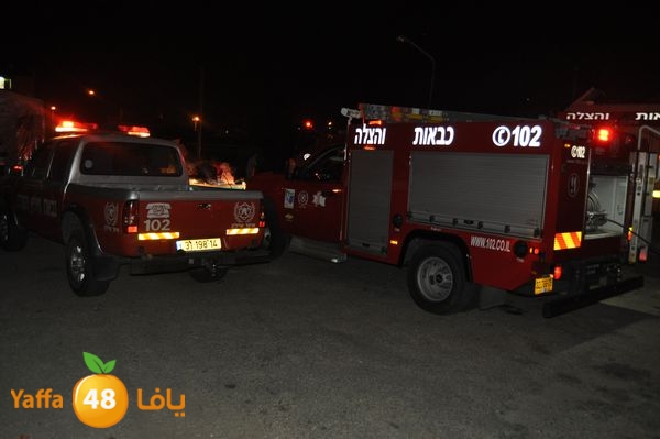 ramlainfejar315 (8).JPG